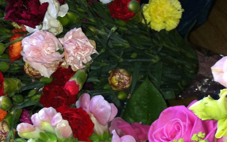 Zbiórka Leczenie za pomocą fibrotomii - zdjęcie główne