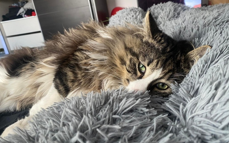 Zbiórka Walka o zdrowie Oslo - zdjęcie główne