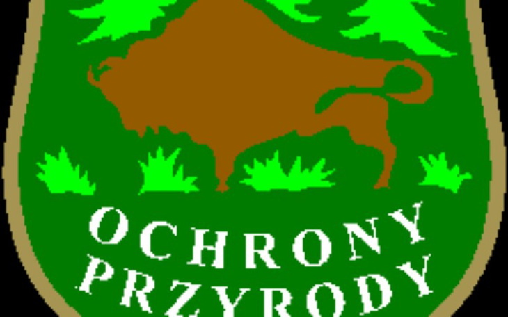Zbiórka Stworzenie komendy SOP - zdjęcie główne