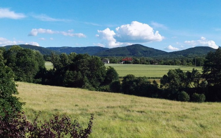 Zbiórka Wymarzone wakacje na plaży - zdjęcie główne