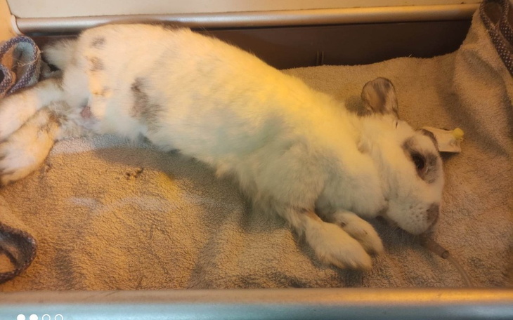 Zbiórka Nowy rok - stare długi - zdjęcie główne