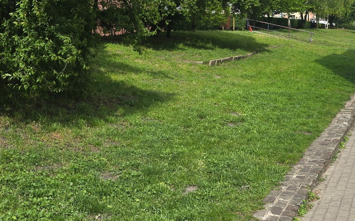 Zielona przestrzeń z trawnikiem, idealna do relaksu.