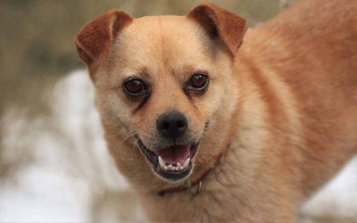 Zbiórka Trop prosi o grosik - zdjęcie główne