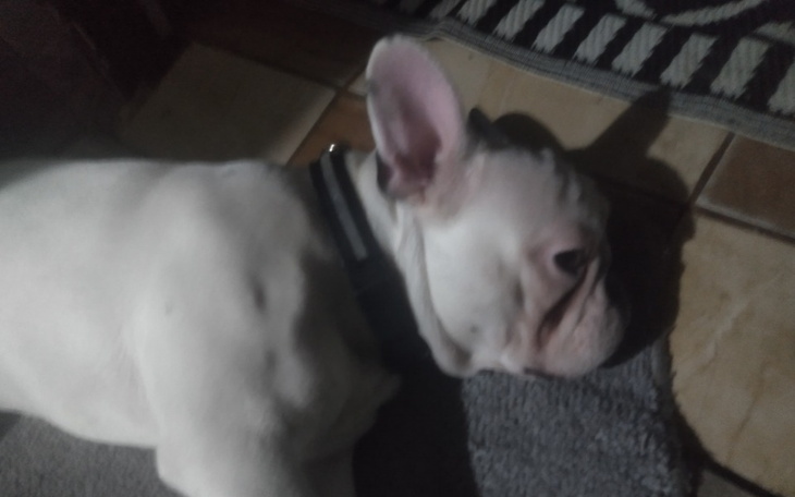 Zbiórka Zbiórka dla chorego henia - zdjęcie główne