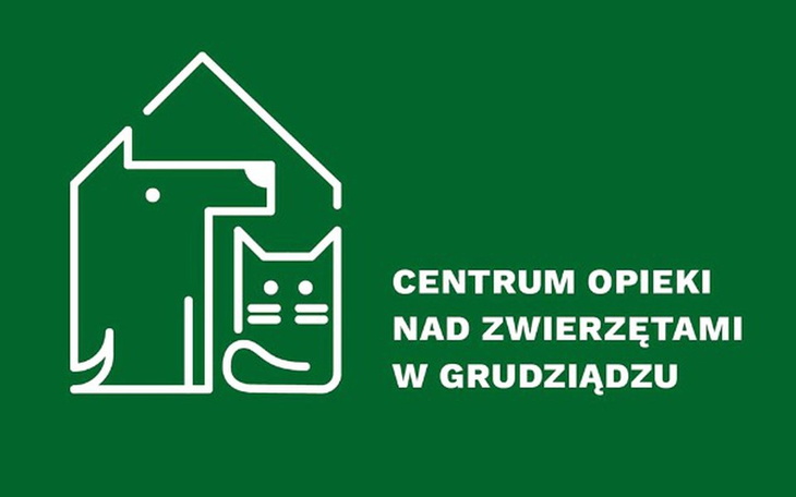 Zbiórka #wąsdlazwierzaka - zdjęcie główne