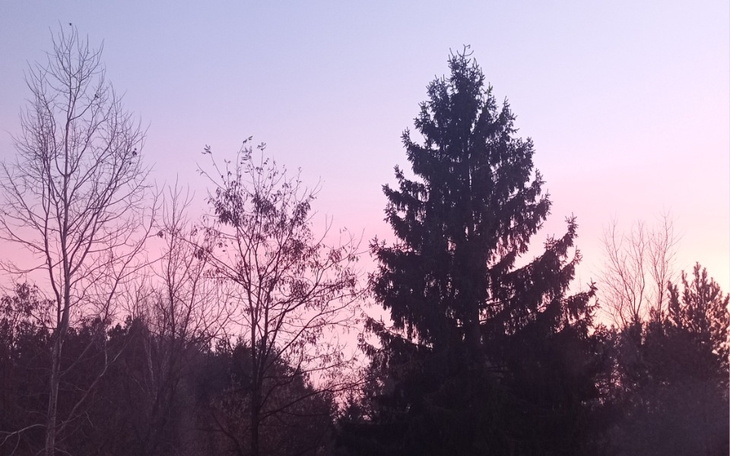 Zbiórka Laptop_Nowy - zdjęcie główne