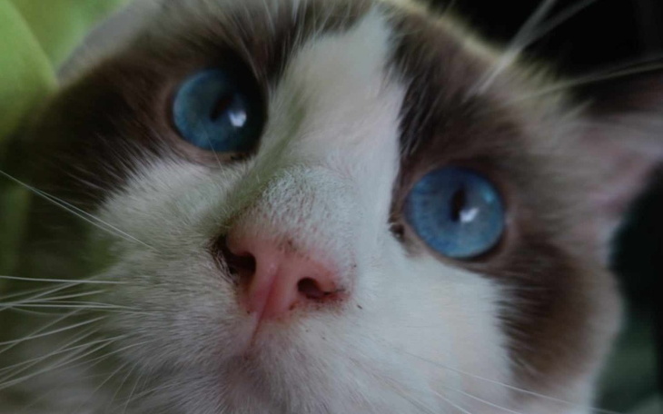 Zbiórka Walczymy o życie Norbiego - zdjęcie główne