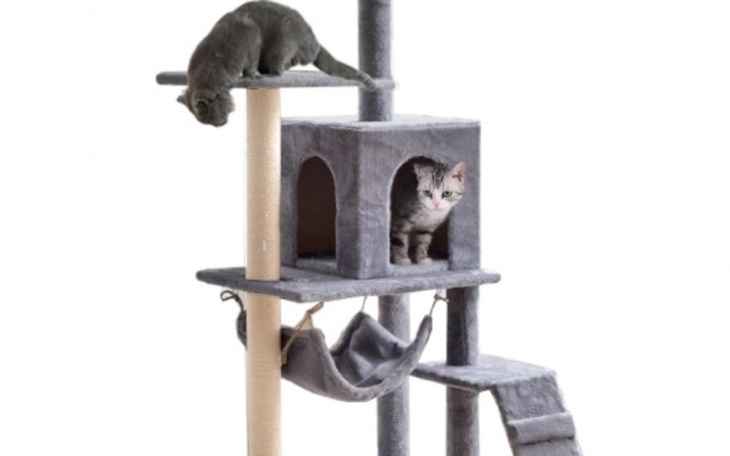 Zbiórka Pomoc dla yummy-drapak dla kotka - zdjęcie główne