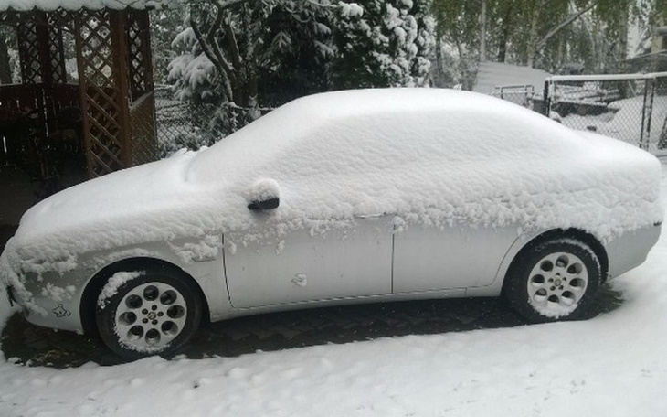 Zbiórka Remont Alfy dla Alfocholika - zdjęcie główne