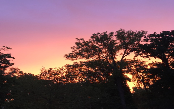 Zbiórka Na gaz dla starszej pani - zdjęcie główne