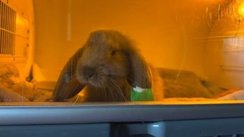 Zbiórka Na sprzęt ratujący życie - miniaturka zdjęcia