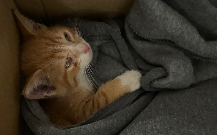 Zbiórka Marian ma przed sobą całe życie - zdjęcie główne