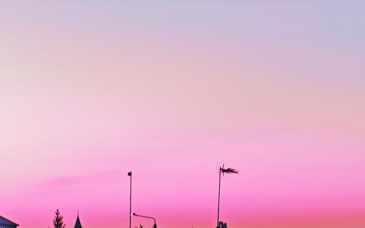 Piękny różowy zachód słońca nad miastem.