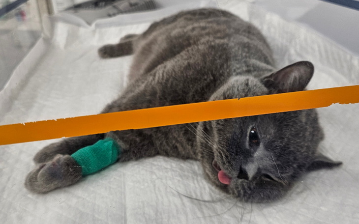 Zbiórka Guz mózgu odbiera mu życie Pomóż - zdjęcie główne