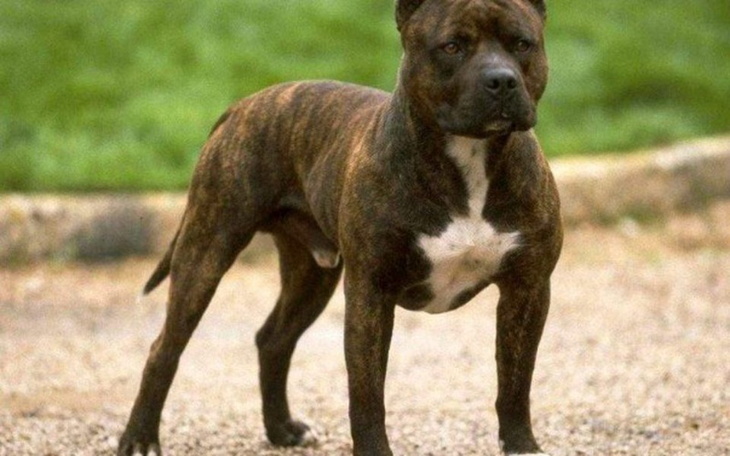 Zbiórka Na konsole o której marzę - zdjęcie główne