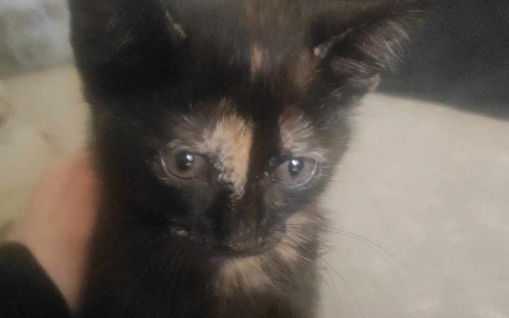 Zbiórka Życie jest okrutne. - zdjęcie główne