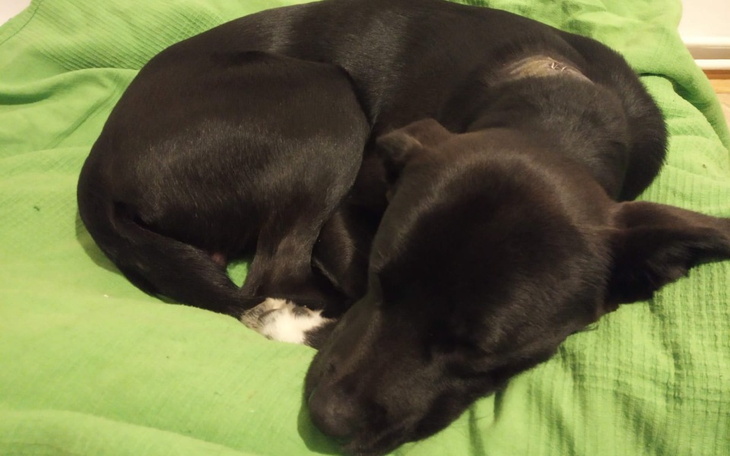 Zbiórka Pomóż Kobiemu - zdjęcie główne