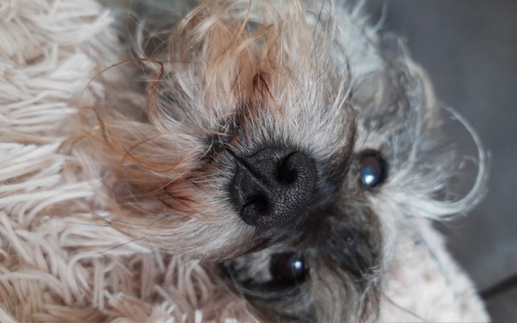 Zbiórka proszę pomóż chociaz 1 grosz - zdjęcie główne