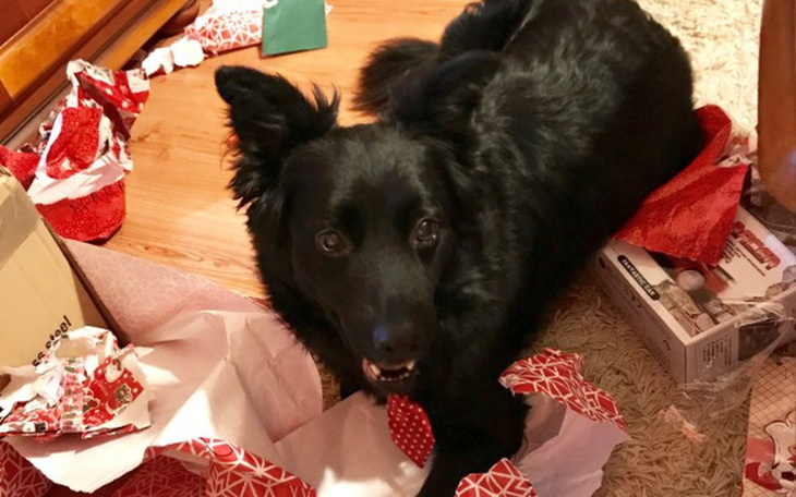 Zbiórka Ares walczy z rakiem! - zdjęcie główne