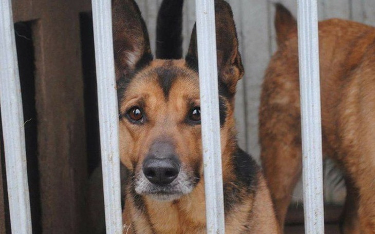 Zbiórka Adolf, Zgred i Rocky-dożywocie. - zdjęcie główne