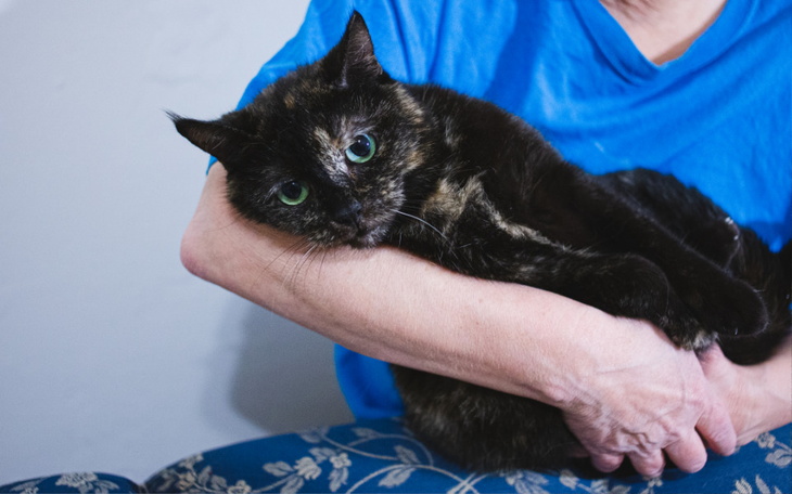 Zbiórka Ginna z zapaleniem otrzewnej - zdjęcie główne