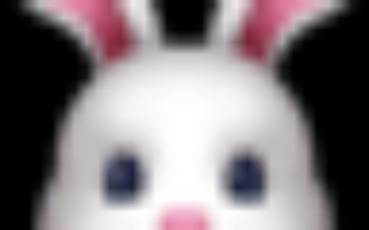 Zbiórka dla chorych zwierzętom pomagamy - zdjęcie główne