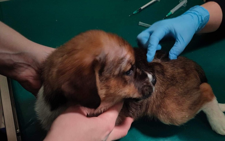 Zbiórka Bez bólu chcemy żyć - zdjęcie główne