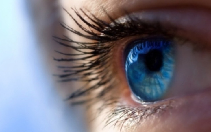 Zbiórka Normalne widzenie - zdjęcie główne