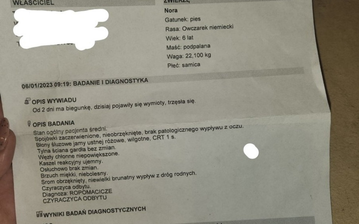Zbiórka Leczenie Nory - zdjęcie główne