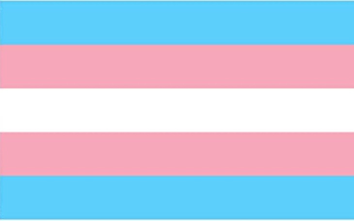 Zbiórka Zbiórka na rozpoczęcie tranzycji - zdjęcie główne