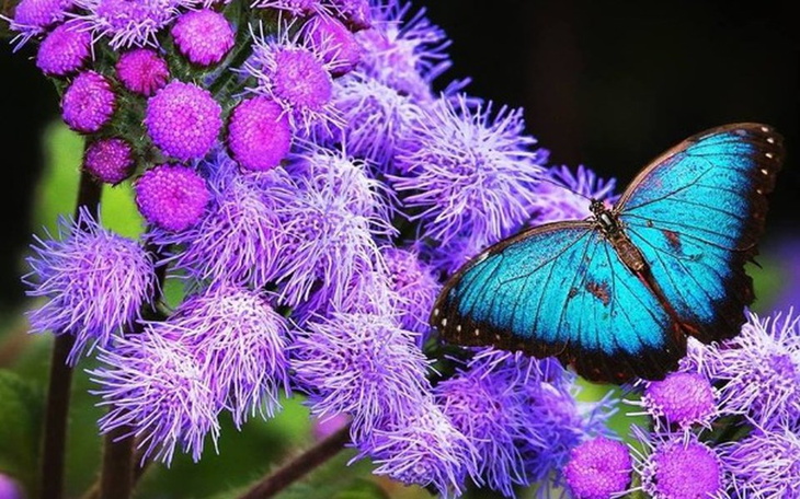 Zbiórka wyprawka .. meble - zdjęcie główne
