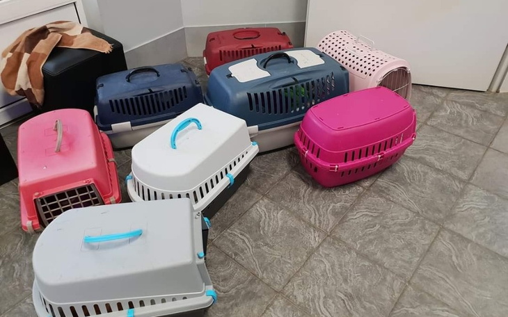 Zbiórka Transportery i inny sprzęt. - zdjęcie główne