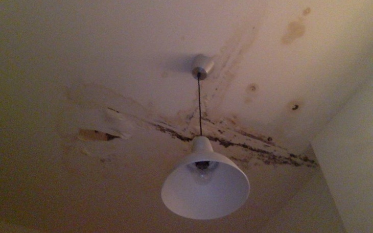 Zbiórka Błagam pomóżcie.. - zdjęcie główne