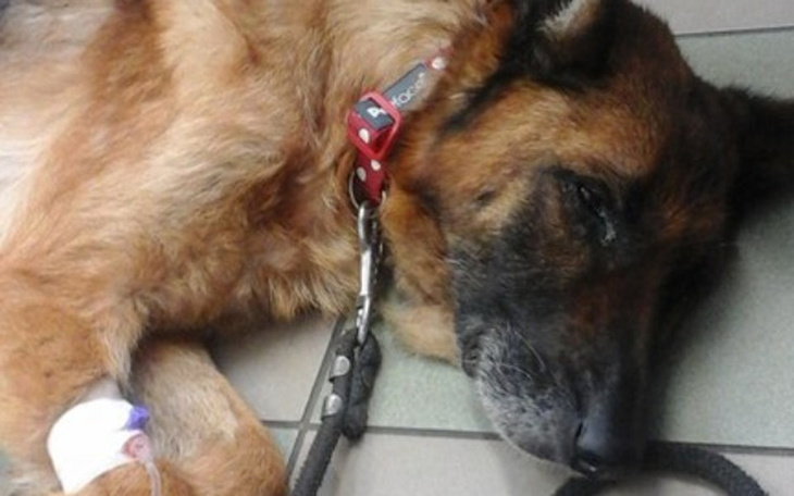 Zbiórka Happy-bolesna droga do szczęścia - zdjęcie główne