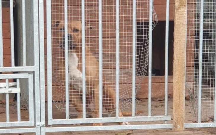 Zbiórka Skazany na śmierć... - zdjęcie główne