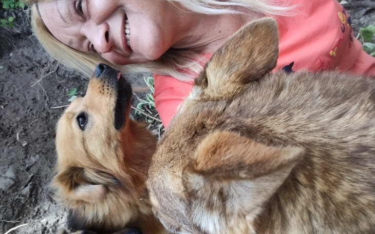 Zbiórka Pomoc dla bedomniaków ITOnZ - zdjęcie główne