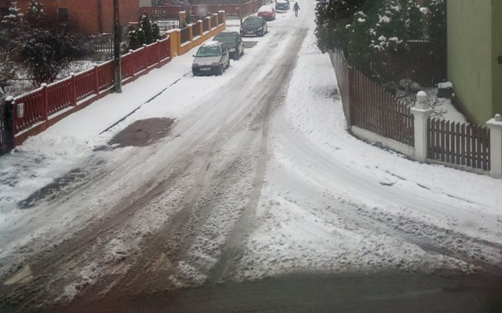 Zbiórka Pomoc dla zwierzat podczas zimy - zdjęcie główne