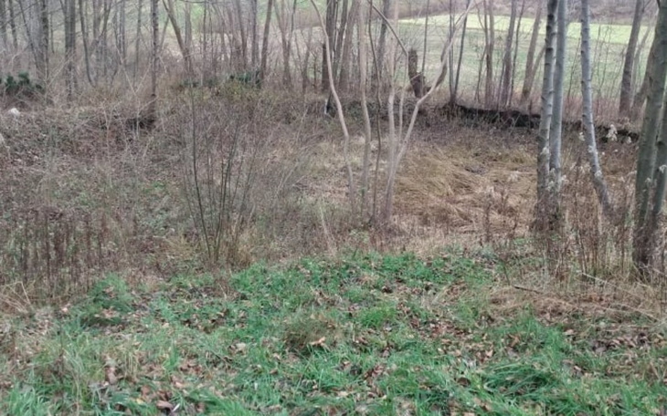 Zbiórka Odnowienie stawu - zdjęcie główne