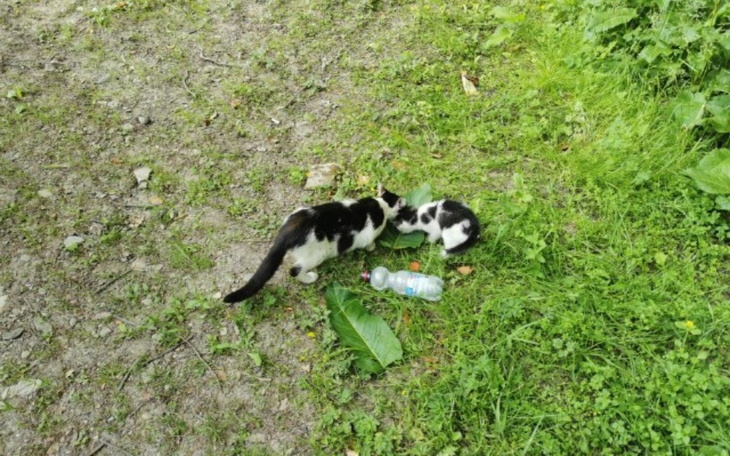 Zbiórka Żeby nie rodziły - zdjęcie główne