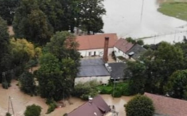 Zbiórka Pomoc dla stadniny w Morowie - zdjęcie główne