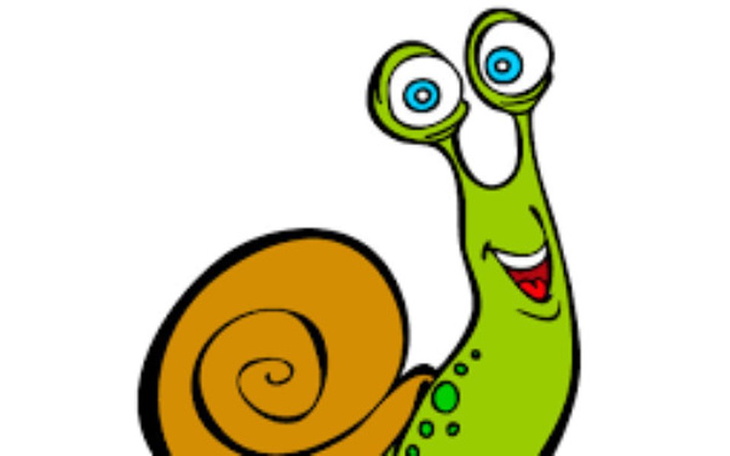 Zbiórka Budowa farmy ślimaków - zdjęcie główne