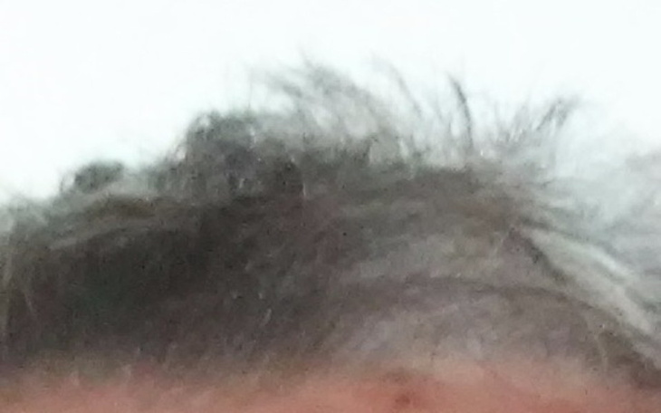 Zbiórka Zbieram na wymazony dom dla dzie - zdjęcie główne