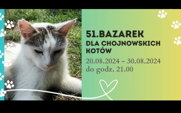 Zbiórka 51 edycja bazarku - zdjęcie główne