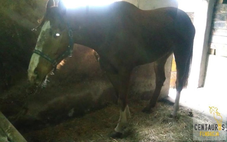 Zbiórka Hazard potrzebuje Twojej pomocy - zdjęcie główne