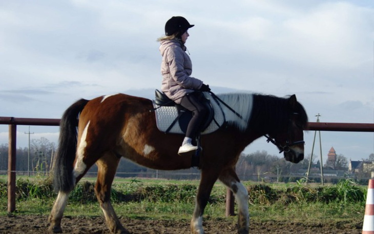 Zbiórka Mój koń - zdjęcie główne