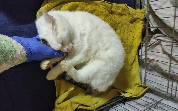 Zbiórka Opłacenie faktur - zdjęcie główne