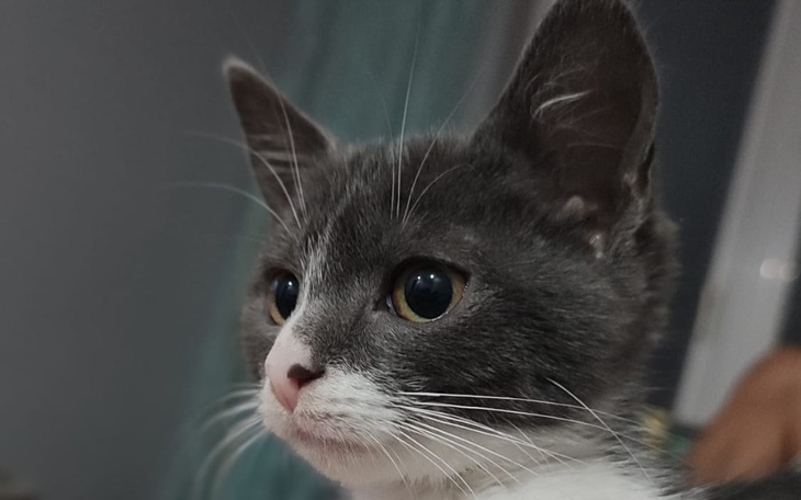 Zbiórka Daj na fipa, nie bądź pipa - zdjęcie główne