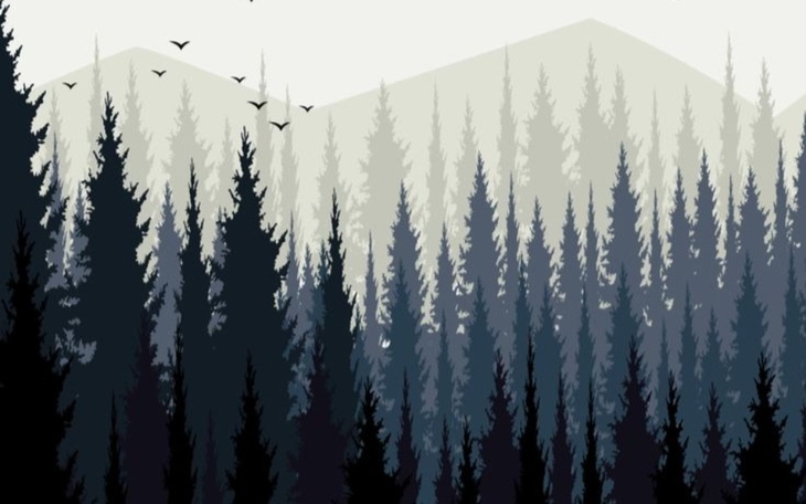 Zbiórka Wspólne spotkanie po latach - zdjęcie główne