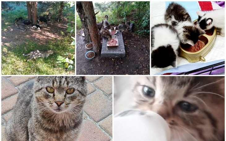 Zbiórka Żeby NIE GŁODOWAŁY - zdjęcie główne