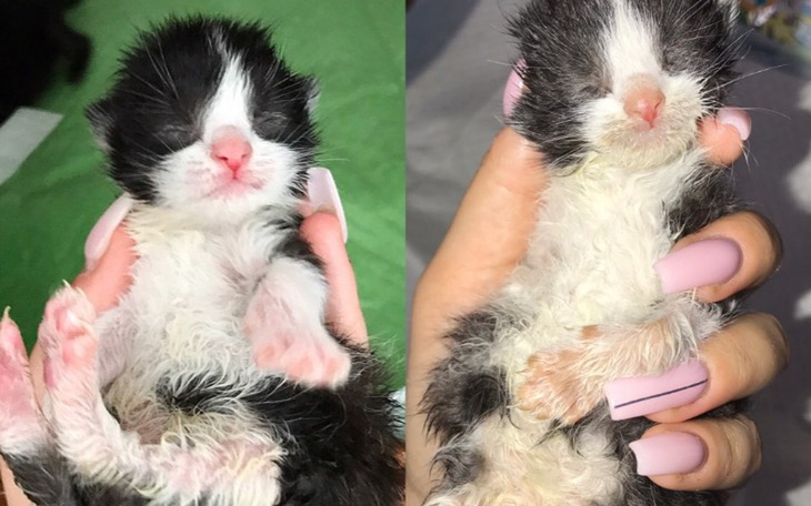 Zbiórka Walka o życie maluszka - zdjęcie główne